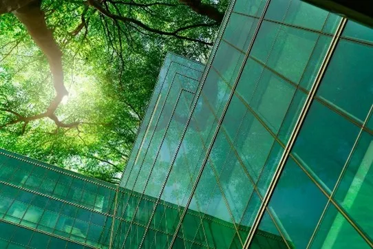Corporate Sustainability